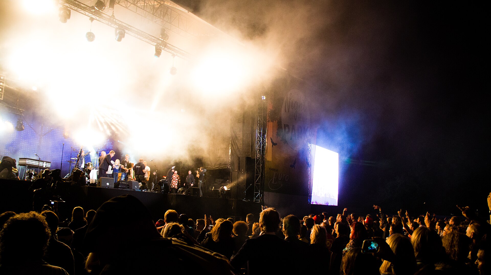Concierto nocturno en un parque con gran asistencia