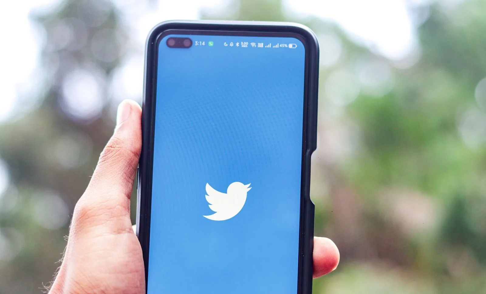 historia-bitly-acortador-que-twitter-hizo-famoso